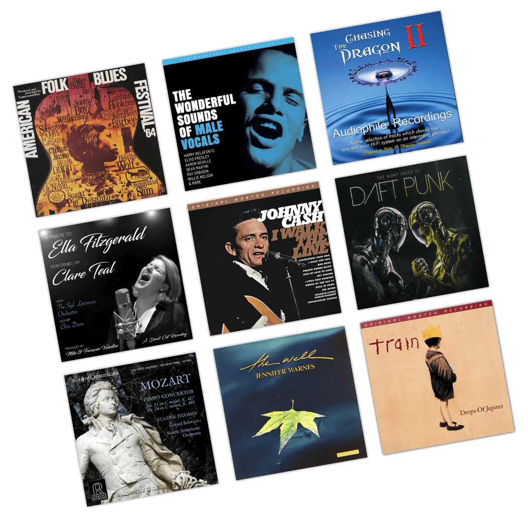 The Vinyl Adventure High Quality And Audiophile Vinyl